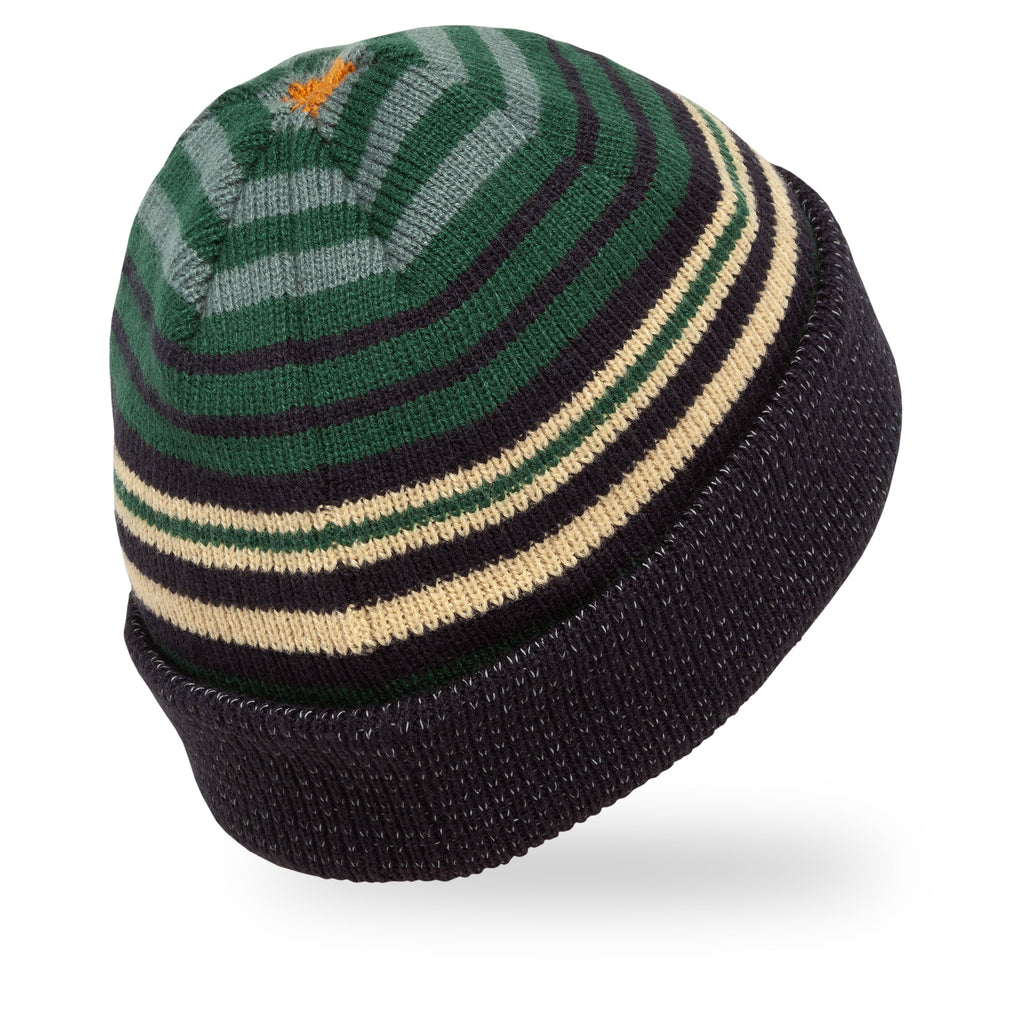 Myriad Reflective Beanie Q3